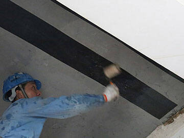 horse carbon fiber slab strengthening